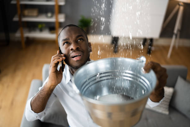 Best Flooded house restoration  in Bayshore Gardens, FL