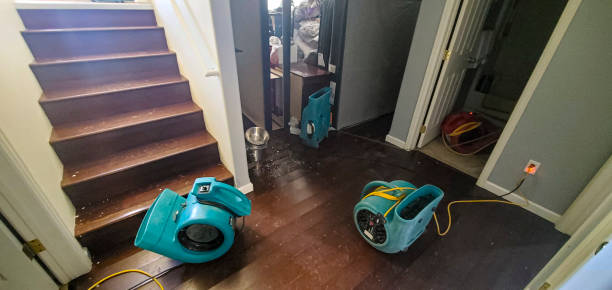 Best Water damage contractors near me  in Bayshore Gardens, FL