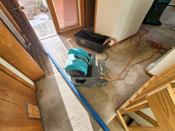 Best Ceiling water damage repair  in Bayshore Gardens, FL