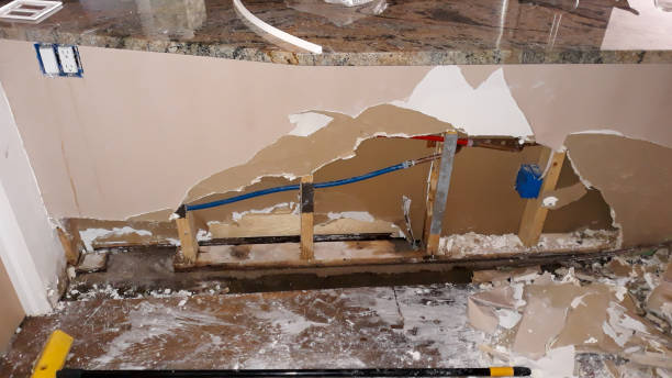  Bayshore Gardens, FL Water damage restoration Pros
