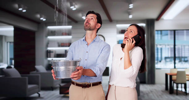 Best Water damage cleanup near me  in Bayshore Gardens, FL